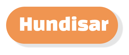 Hundisar